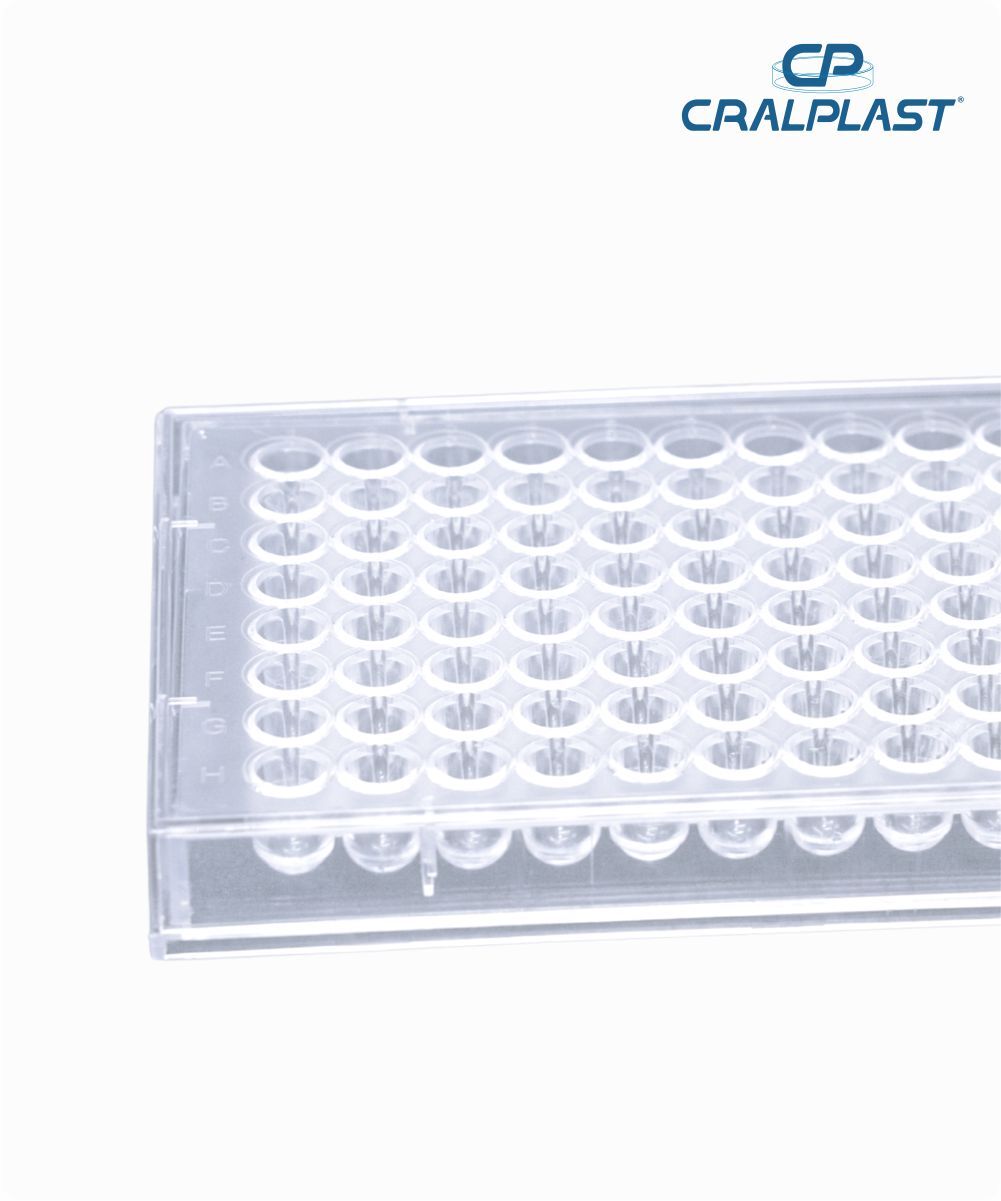 Microplaca fundo U estéril individual